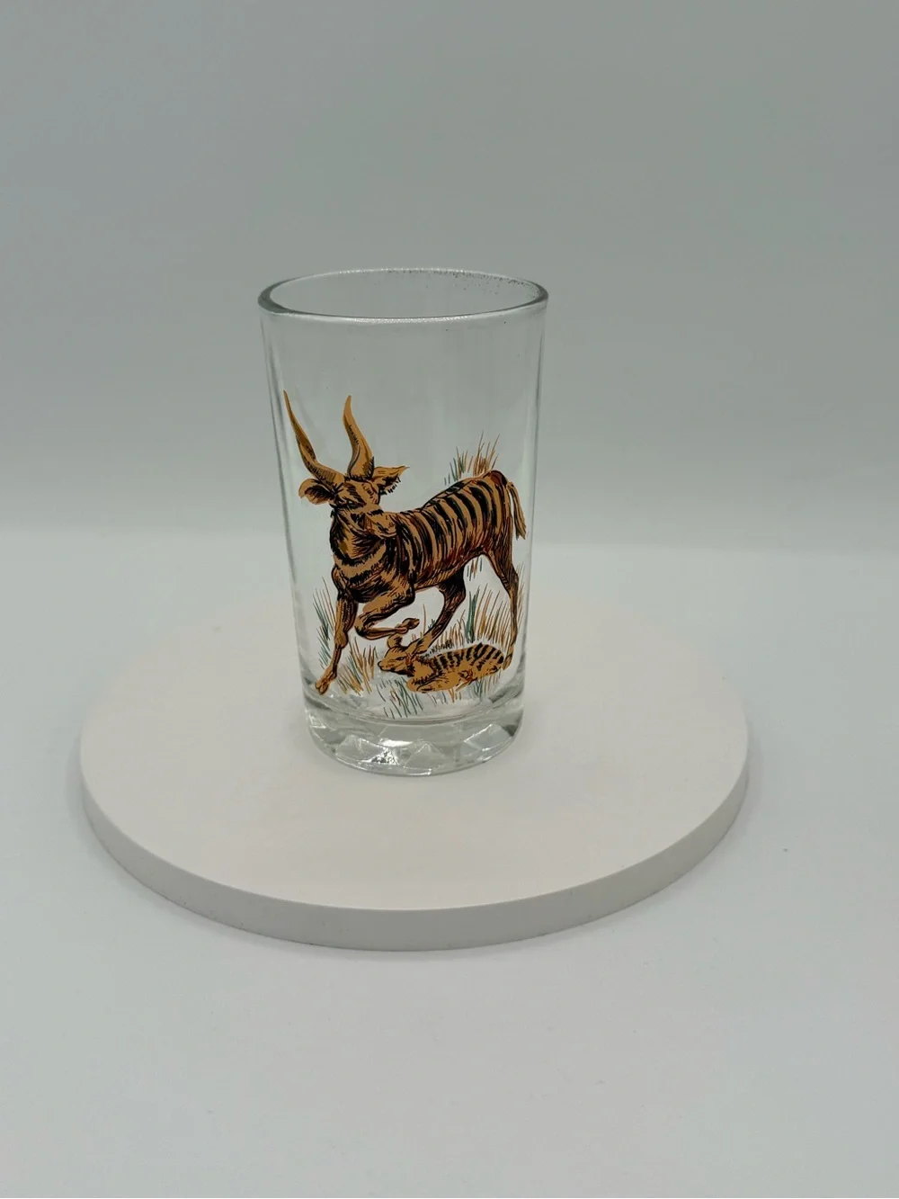 Set of five vintage Pasari glass tumblers with African wildlife decals.
